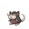 Raticate (Alolan)